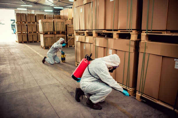 Best Pest Inspection Near Me  in Conrad, MT